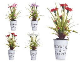 Ibergarden Planta Clavel Bote Metal Surtido 15x31x12cm (Set de 12)