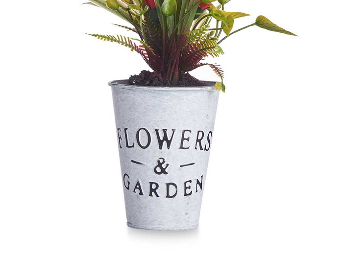 Ibergarden Planta Clavel Bote Metal Surtido 15x31x12cm (Set de 12)