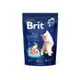 Brit Alimento Gatitos Pollo Salsa Salmón 1,5kg