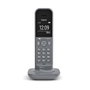 Gigaset S30852-H2902-K103 Teléfono DECT/analógico Inalámbrico con Identificador de Llamadas, Color Gris