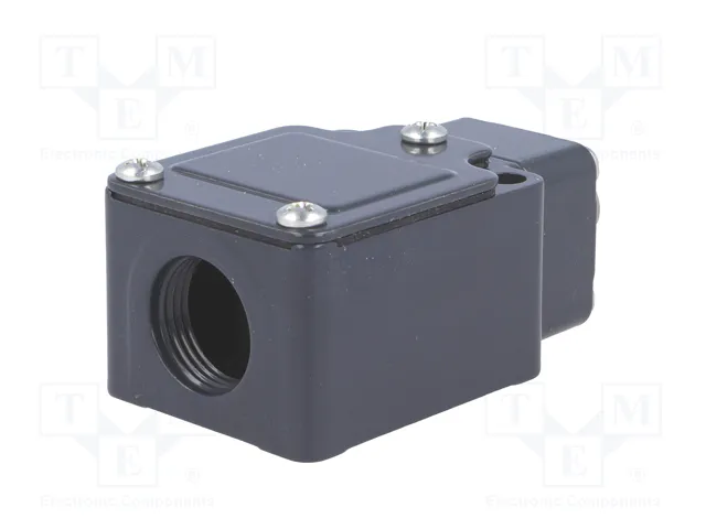 PIZZATO ELETTRICA FC 310 Interruptor de fin de carrera NO + NC IP67 PIZZATO ELETTRICA FC 310 Interruptor de fin de carrera NO + NC IP67