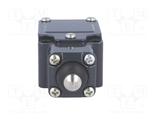 PIZZATO ELETTRICA FC 310 Interruptor de fin de carrera NO + NC IP67 PIZZATO ELETTRICA FC 310 Interruptor de fin de carrera NO + NC IP67