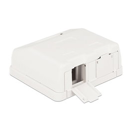 DeLOCK Carcasa vacía Keystone 2 puertos con protección contra el polvo 86236 Blanco