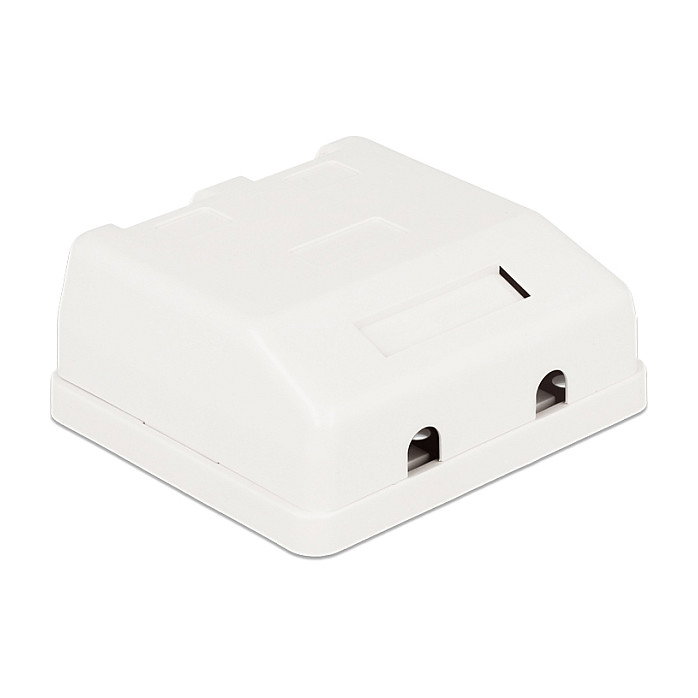DeLOCK Carcasa vacía Keystone 2 puertos con protección contra el polvo 86236 Blanco DeLOCK Carcasa vacía Keystone 2 puertos con protección contra el polvo 86236 Blanco