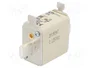 ETI POLAM Fusible NH00 de Cerámica Industrial 50A 500VAC