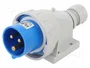 SEZ DK Conector de alimentación AC trifásica macho 16A 230V