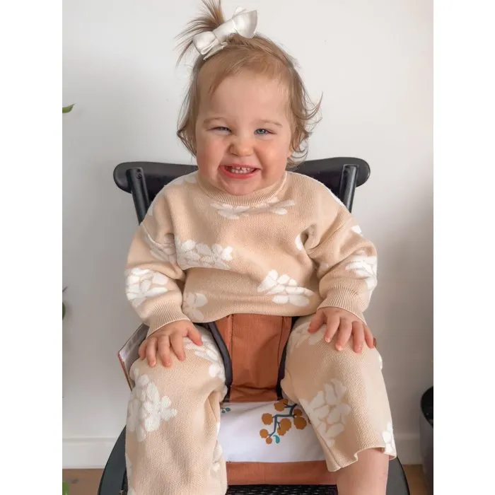 Dreambaby Grab 'N Go Silla Elevadora Portátil para Bebé de 6 Meses a 3 Años, Compacta, Ligera con Espacio de Almacenamiento - DRE9312742460464