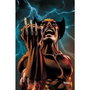 Panini España S.A. Lobezno 01 (Lobezno V5 165) Marvel