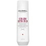 Goldwell Dualsenses Color Extra Rich Brilliance Champú 250ml