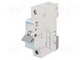 HAGER MBN116E Interruptor magnetotérmico 16A 1 Polo 6kA