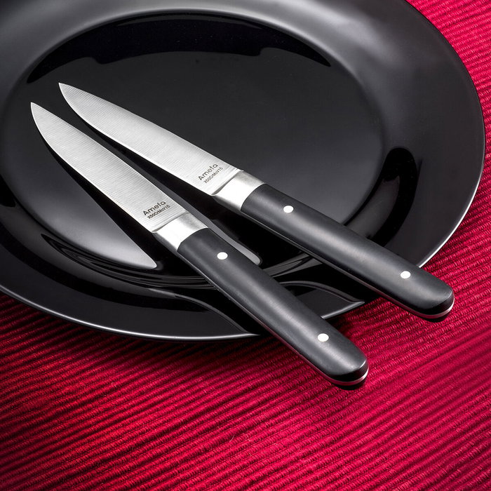 Amefa Set de 12 Cuchillos Steaks Fusion Acero Inox 22x1,8x1,2 cm Amefa Set de 12 Cuchillos Steaks Fusion Acero Inox 22x1,8x1,2 cm