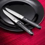 Amefa Set de 12 Cuchillos Steaks Fusion Acero Inox 22x1,8x1,2 cm