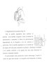 PLUVIA Pulverizador Sulfatador Profesional 16L con Batería GEL 12V-8Ah