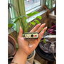 Yashica Funtastic x Peanuts Snoopy´s Summit Verde