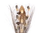Giftdecor Ramillete Cuadrado Gris 14 cm x 100 cm x 10 cm de Materia Vegetal Seca (Set de 4)