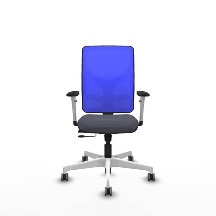 PIQUERAS Y CRESPO Silla de oficina Motilla con mecanismo Sincro/Traslack, Gris oscuro y Azul