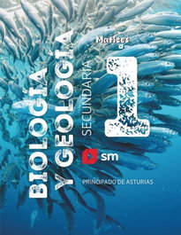 SM, BIOLOGIA Y GEOLOGIA 3ESO ASTURIAS MATICES 26 - A.VV E