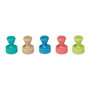 MAUL Kegelmagnete Ø 1,2 x 1,6 en colores turquesa, marrón, azul, rojo y verde