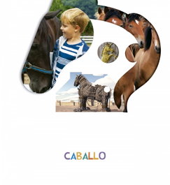 EDELVIVES, CABALLO 4 AÑOS 2019 - (19).CABALLO 4 AÑOS (PROYECTOS ¿LO VES?)