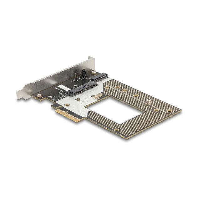 DeLOCK 90854 Tarjeta de Expansión PCIe 4.0 x4 para NVMe M.2 Key M 110 mm y U.2 - Soporte TRIM y S.M.A.R.T.