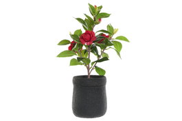 DKD Home Decor Rosal Rojo de PVC y EVA (23x18x37 cm)