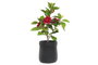 DKD Home Decor Rosal Rojo de PVC y EVA (23x18x37 cm)