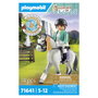 Playmobil 71641 Horses of Waterfall Turnierreiterin - Set de Figuritas de Juguete con Caballos para Ninos y Ninas de 5 Anos en Adelante