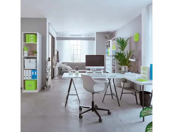 Leitz Bandeja Sobremesa Wow Dual Blanco/Verde 267x49x336 mm