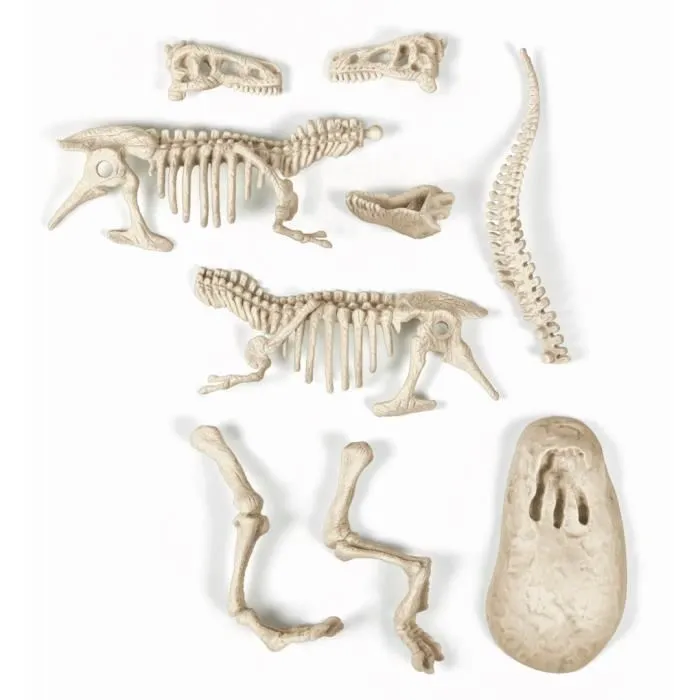 Clementoni Archéo Ludic T-Rex fosforescente - Kit de excavación de fósiles para niños a partir de 7 años Clementoni Archéo Ludic T-Rex fosforescente - Kit de excavación de fósiles para niños a partir de 7 años