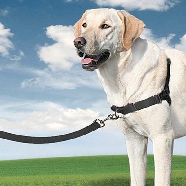 Petsafe Easy Walk Arnés Extra Grande Negro