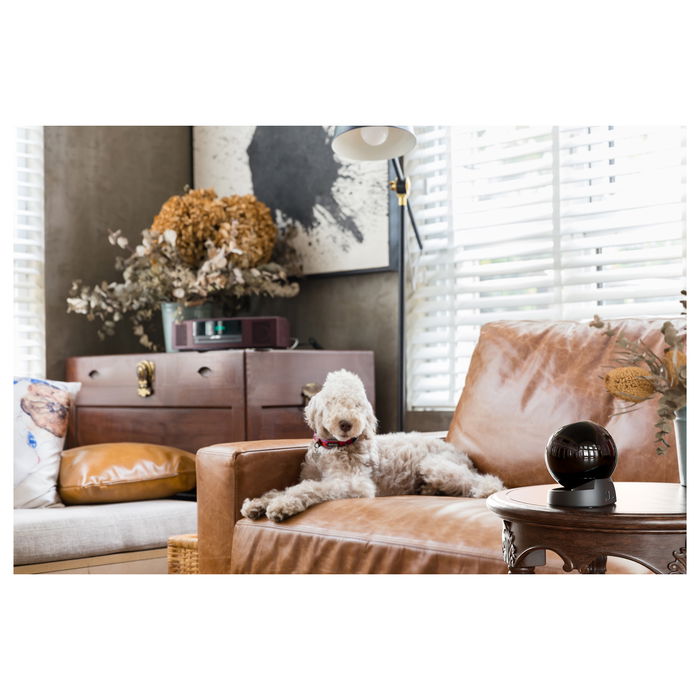 Imou Cámara de Seguridad IP Rex 3D 2K, Interiores, 3 MP, 2304x1296 Pixeles, Visión Nocturna, Seguimiento Automático, WiFi/Ethernet