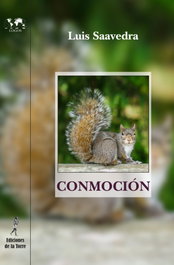 Conmoción, Luis Saavedra - DE LA TORRE