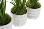 DKD Home Decor Planta Rosa Azul 15 x 30 x 15 cm (3 Unidades)
