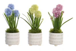 DKD Home Decor Planta Rosa Azul 15 x 30 x 15 cm (3 Unidades)
