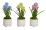 DKD Home Decor Planta Rosa Azul 15 x 30 x 15 cm (3 Unidades)