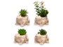 Maceta Rana Surtidos Ibergarden 11 cm x 14 cm x 10 cm (Set de 12)