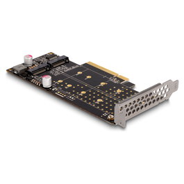 DeLOCK 89837 Tarjeta PCI Express x8 a 2 x NVMe M.2 Key M con Bifurcación