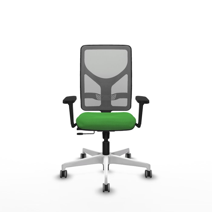 PIQUERAS Y CRESPO Silla de oficina Motilla con mecanismo Sincro/Traslack, Verde y Gris PIQUERAS Y CRESPO Silla de oficina Motilla con mecanismo Sincro/Traslack, Verde y Gris