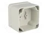 BOPLA EUROMAS II Carcasa Universal Gris ABS