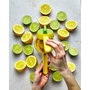 Joseph & Joseph Joseph JuiceMax Zweifach Exprimidor de Limones Amarillo