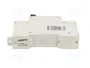 Promfactor Baltic Interruptor magnetotérmico ECO 1 Polo 40A Característica B