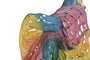 DKD Home Decor Decoración de Pared Elefante Multicolor en Resina
