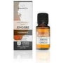TERPENIC Aceite Esencial de Jengibre BIO 5ml
