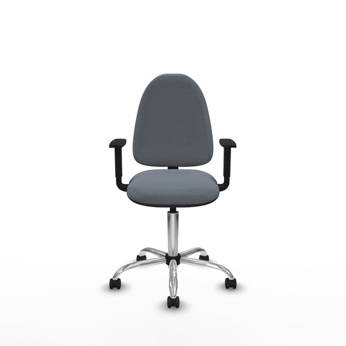 PIQUERAS Y CRESPO Silla de oficina Aýna Gris con Brazos 1D y Base Cromada PIQUERAS Y CRESPO Silla de oficina Aýna Gris con Brazos 1D y Base Cromada