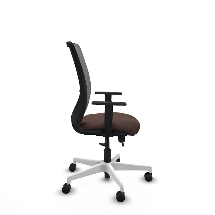 PIQUERAS Y CRESPO Silla de oficina Zulema con mecanismo Sincro/Traslack, Marrón oscuro y Gris PIQUERAS Y CRESPO Silla de oficina Zulema con mecanismo Sincro/Traslack, Marrón oscuro y Gris