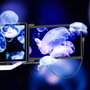 Mobile Pixels Duex Max DS Extensión de pantalla de 14,1 pulgadas Full HD
