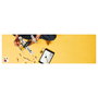 LEGO Technic 42198 Bush Plane
