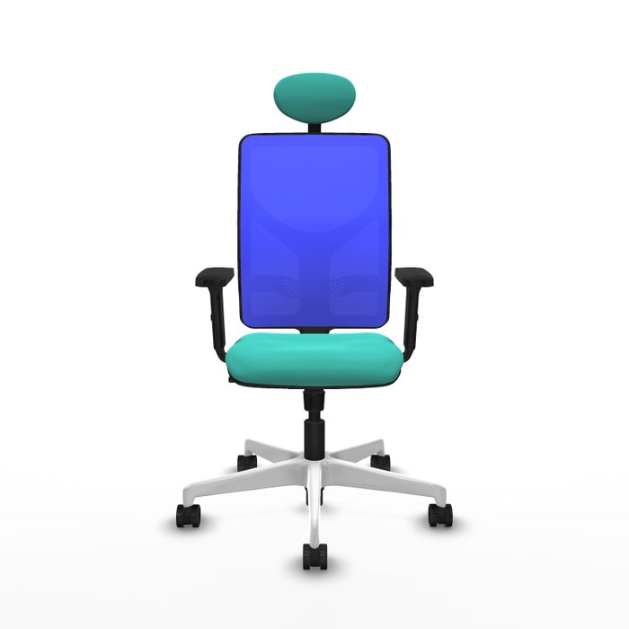 PIQUERAS Y CRESPO Silla de oficina Motilla con mecanismo Sincro, color Turquesa y Azul PIQUERAS Y CRESPO Silla de oficina Motilla con mecanismo Sincro, color Turquesa y Azul