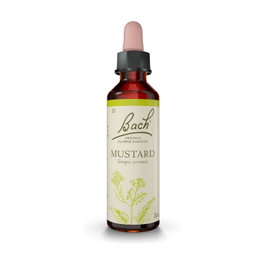 Bach Original Mustard Mostaza Elixir Floral nº21 20ml