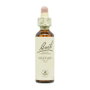 BACH Mustard (Mostaza) Nº21 20ml
